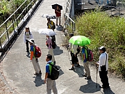 PA210133.JPG (332925 bytes)