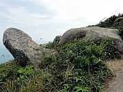 PA280110.JPG (252831 bytes)