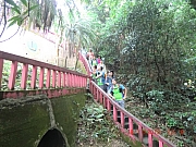 pic_Wai_24.JPG (397399 bytes)