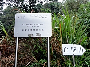 PB250005.JPG (312335 bytes)