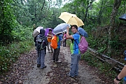 pic_Billy_01.JPG (823564 bytes)