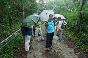 pic_Billy_02.JPG (744722 bytes)