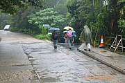 pic_CC_Li_01.JPG (595230 bytes)