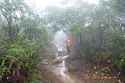 pic_CC_Li_14.JPG (603377 bytes)