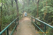 pic_CC_Li_15.JPG (634043 bytes)