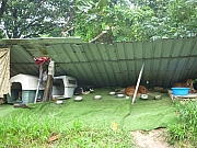 pic_CW_Leung_06.JPG (524656 bytes)