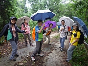 pic_CW_Leung_08.JPG (597806 bytes)