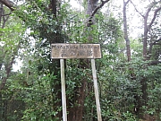 pic_YL_Wong_02.JPG (696831 bytes)