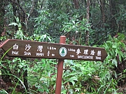 pic_YL_Wong_03.JPG (782706 bytes)