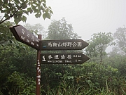 pic_YL_Wong_06.JPG (574546 bytes)