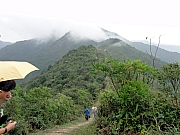 PC020037.JPG (215589 bytes)