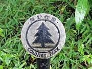 PC020083.JPG (265563 bytes)