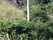 PC090051.JPG (414153 bytes)