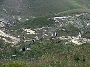 PC090119.JPG (273954 bytes)