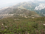 PC090120.JPG (264701 bytes)