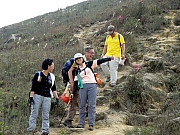 PC090131.JPG (297066 bytes)