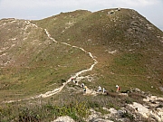 PC090141.JPG (267720 bytes)