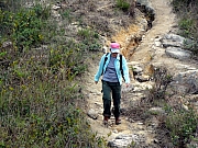 PC090159.JPG (359889 bytes)