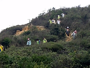PC090167.JPG (222128 bytes)