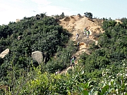 PC160065.JPG (361941 bytes)