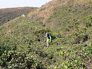 PC230123.JPG (407906 bytes)
