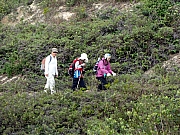 PC300050.JPG (355875 bytes)