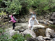PC300054.JPG (372770 bytes)