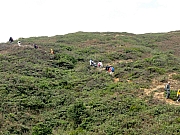 PC300140.JPG (302278 bytes)