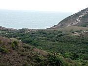 PC300141.JPG (204308 bytes)