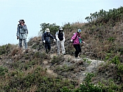 PC300158.JPG (266347 bytes)