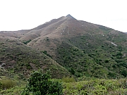 PC300161.JPG (233287 bytes)