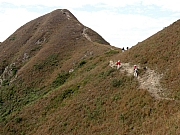 PC300182.JPG (235772 bytes)