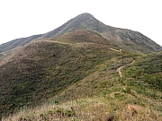PC300188.JPG (239109 bytes)