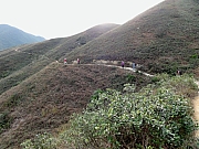 PC300200.JPG (291855 bytes)