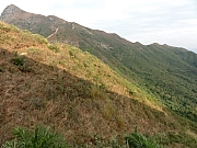 PC300201.JPG (249414 bytes)