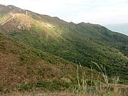 PC300202.JPG (238204 bytes)