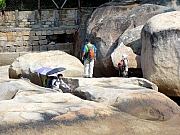 P1060087.JPG (264903 bytes)