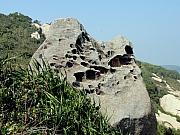 P1060117.JPG (291713 bytes)