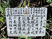 P1060119.JPG (334646 bytes)