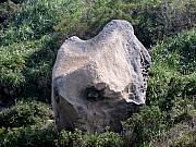 P1060155.JPG (366142 bytes)