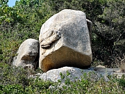 P1060156.JPG (393897 bytes)