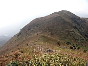 P1130087.JPG (238729 bytes)