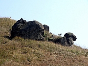 P1130097.JPG (229839 bytes)