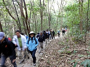 P1200005.JPG (295799 bytes)
