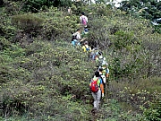 P1200008.JPG (384522 bytes)