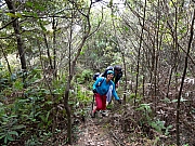 P1200016.JPG (442446 bytes)
