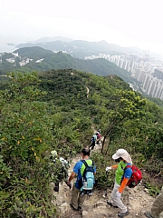 P1200034.JPG (270053 bytes)