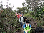 P2030035.JPG (354901 bytes)