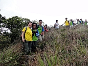P2030037.JPG (281871 bytes)