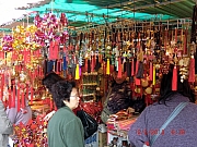 pic_Wai_008.JPG (731681 bytes)